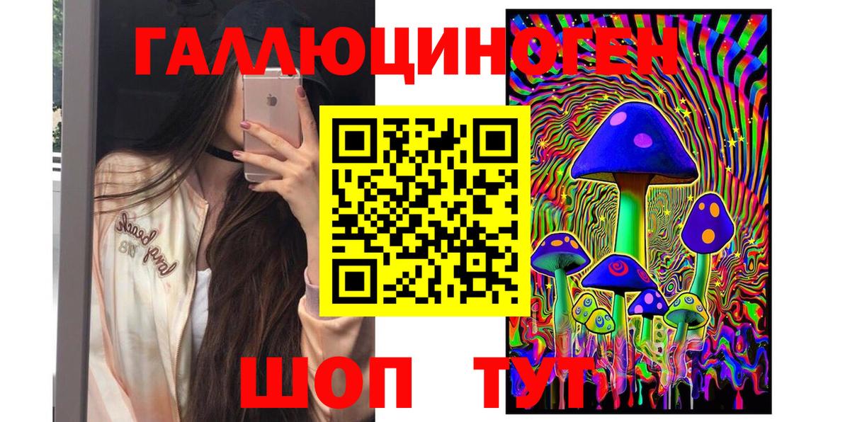 Гудермес  Галлюциногенные грибы Magic Shrooms  Вход с VPN 